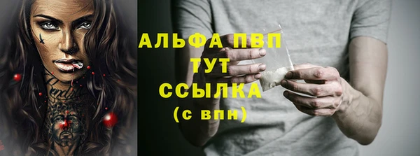 apvp Алзамай