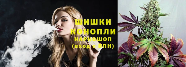 apvp Алзамай