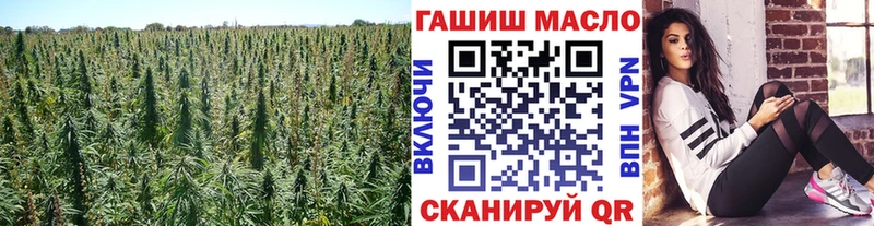 kraken рабочий сайт  Белокуриха  ТГК Wax  купить наркотик 